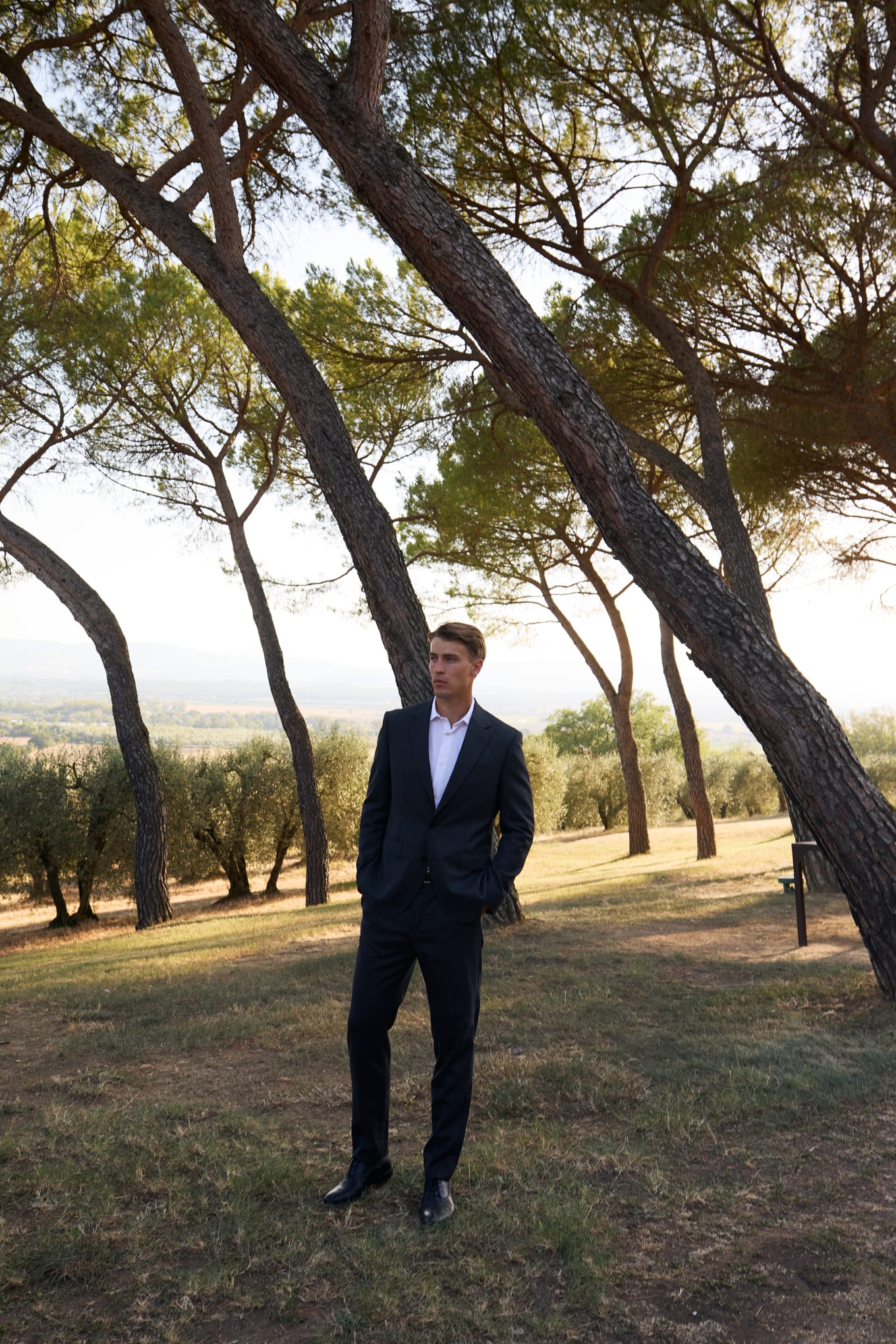 Hand in pocket, a man in a navy suit stands on grass beneath tall pines with olive trees behind