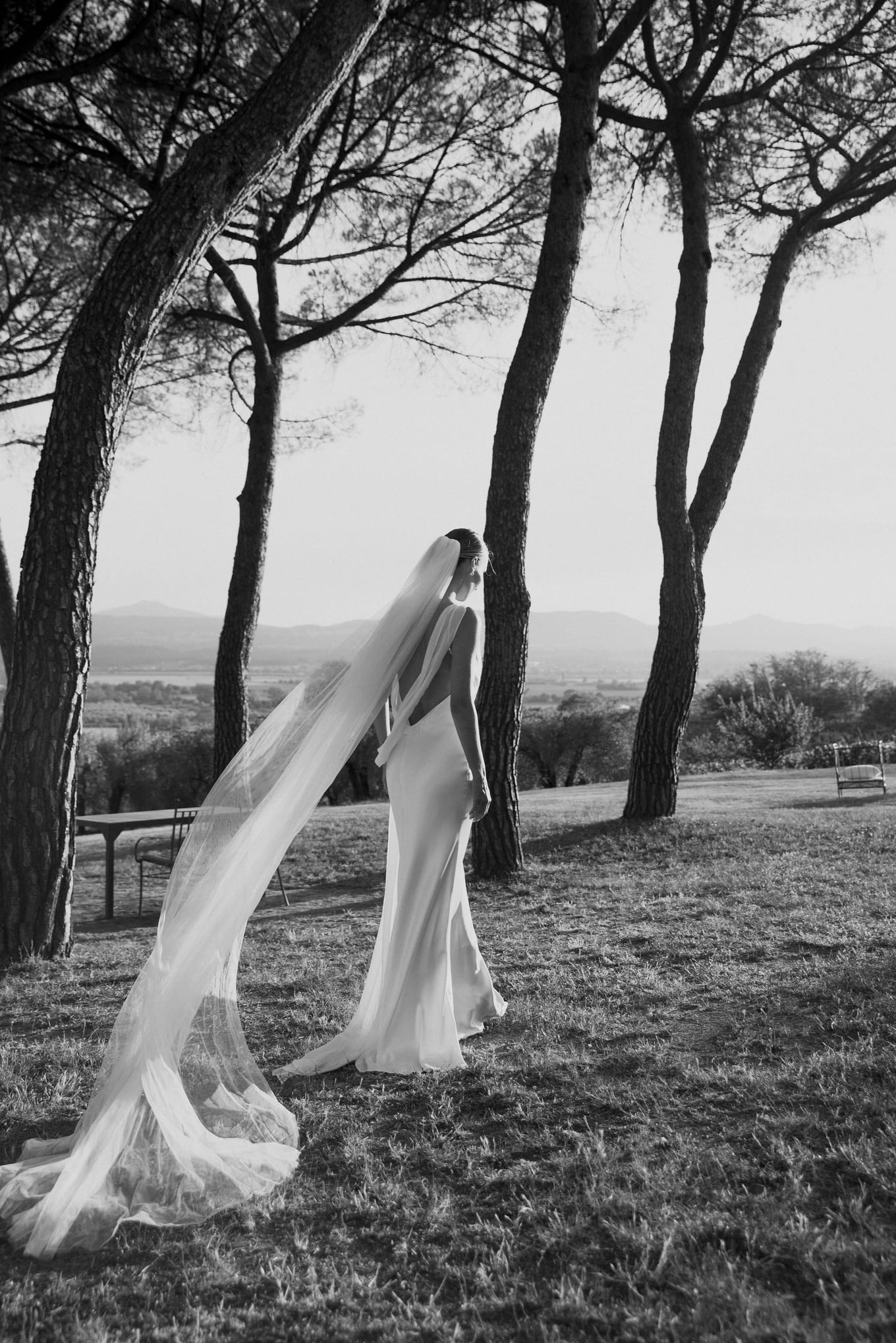 Seen from behind, a bride in a long veil stands on a grassy slope among tall pines facing distant hills
