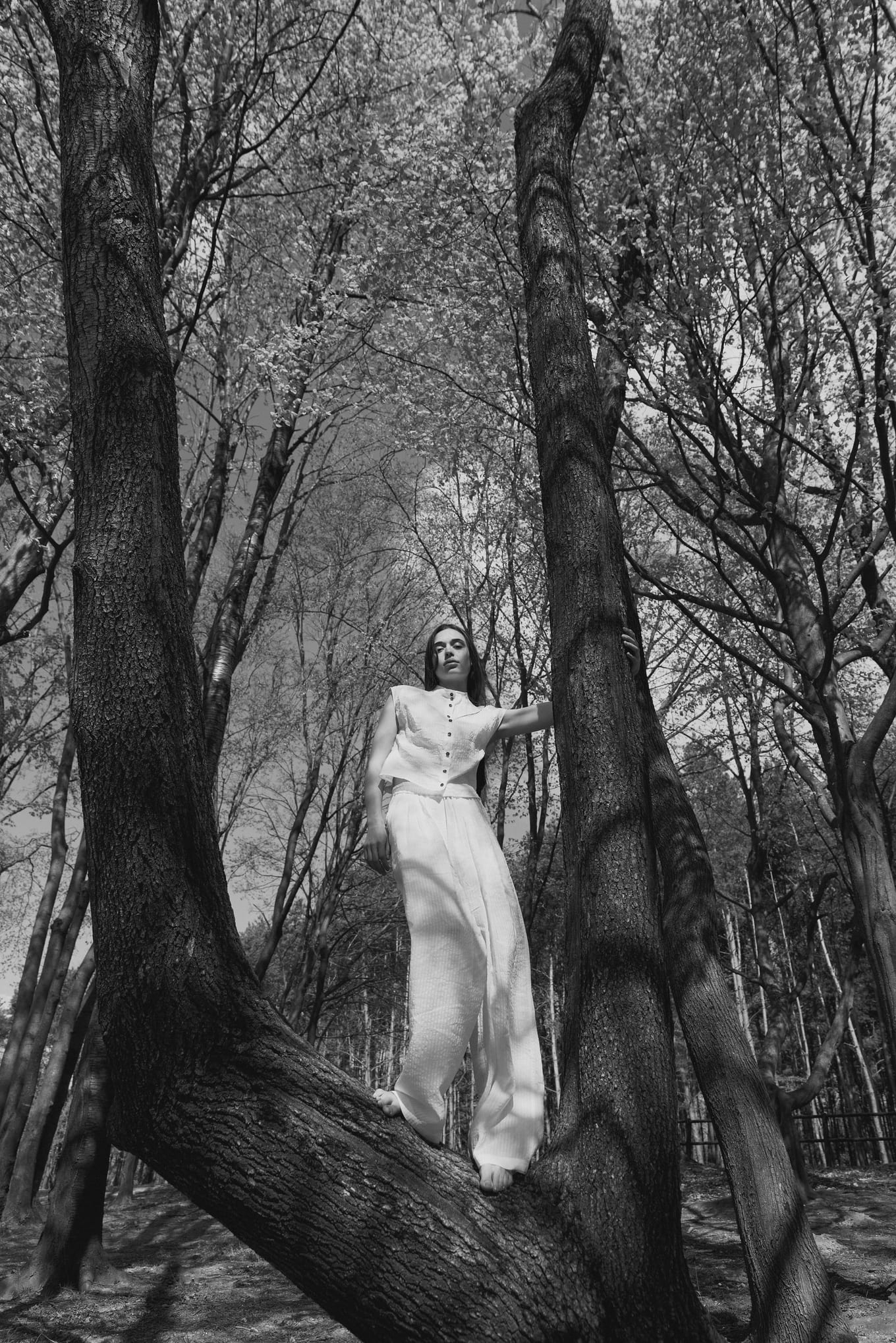 Standing in the fork of a large tree, a woman in a white blouse and wide trousers rests a hand on a trunk
